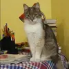Отзыв от Нинель Спиридонова